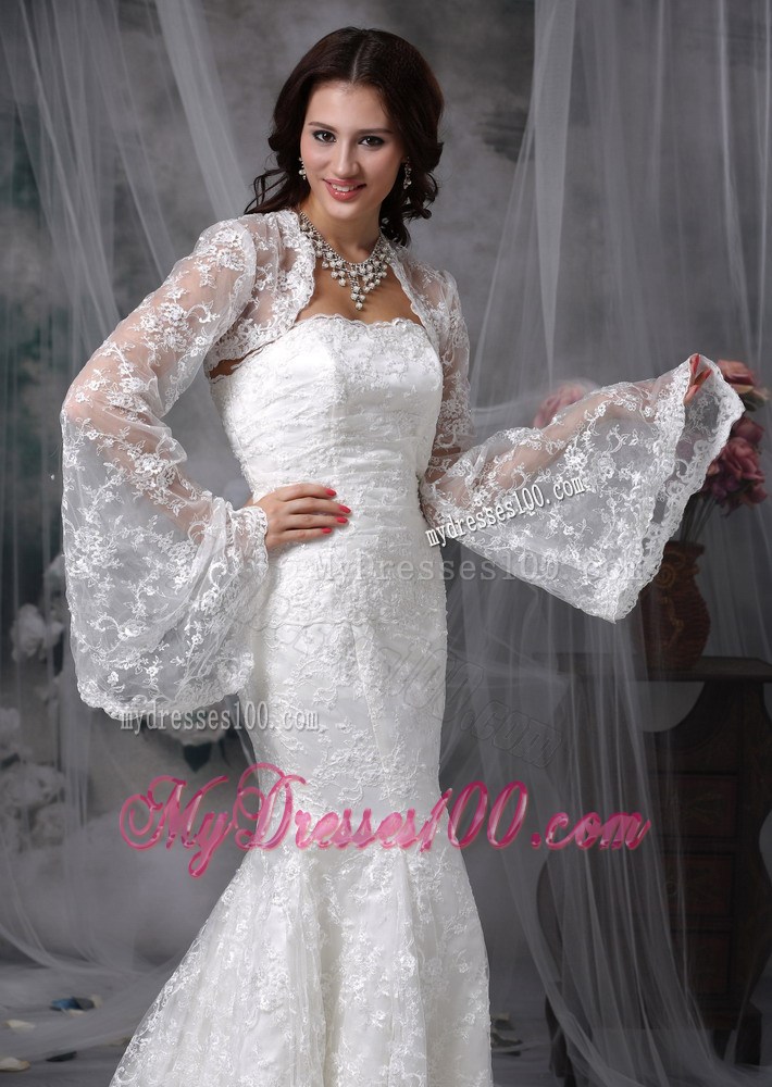 Lace Mermaid Court Train Clasp Handle Dresses for the Bride 2013